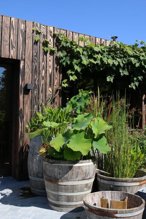 Clos Des Poulies 라페르트세인트아우빈 외부 사진